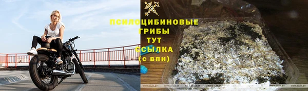 гашик Армянск