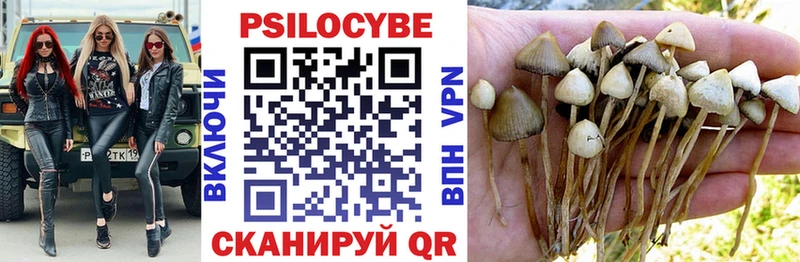 сколько стоит  Гулькевичи  Галлюциногенные грибы Psilocybine cubensis 
